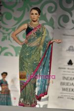 Model walk the ramp for Nisha Sagar for Aamby Valley India Bridal Week 30th Oct 2010 (13).JPG